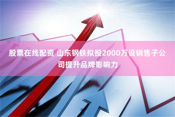 股票在线配资 山东钢铁拟投2000万设销售子公司提升品牌影响力